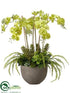 Silk Plants Direct Orchid, Succulent Arrangement - Green - Pack of 1