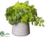 Silk Plants Direct Pompom, Fern, Lambs Ear Arrangement - Green - Pack of 1