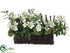 Silk Plants Direct Azalea, Branch, Sedum Arrangement - Cream Green - Pack of 1