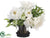 Peony Mix, Ranunculus - White Green - Pack of 1