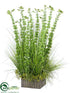 Silk Plants Direct Bells Of Ireland, Willow Grass Arrangement - Green - Pack of 1