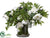 Rose, Peony, Branches Arrangement - White Green - Pack of 1
