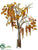 Amaranthus, Birch Arrangement - Mustard Tan - Pack of 1