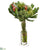 Protea, Skimmia - Green Orange - Pack of 1