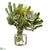 Protea - Green - Pack of 1