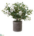 Silk Plants Direct Azalea - Green White - Pack of 1
