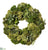 Succulent, Sedum Wreath - Green - Pack of 1