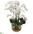 Orchids - White - Pack of 1