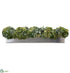 Silk Plants Direct Succulent Sedum - Green - Pack of 1