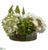 Hydrangea, Rose, Lupinus - Green White - Pack of 1
