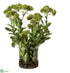 Silk Plants Direct Sedum with Rocks - Green Burgundy - Pack of 1