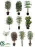 Silk Plants Direct Trees - Assorted - Pack of 1