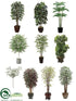 Silk Plants Direct Office Trees - Assorted - Pack of 1