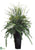 Foxtail, Grass, Fern - Green Two Tone - Pack of 1
