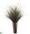 Yucca Grass - Green Red - Pack of 1