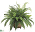 Silk Plants Direct Fern - Green - Pack of 1