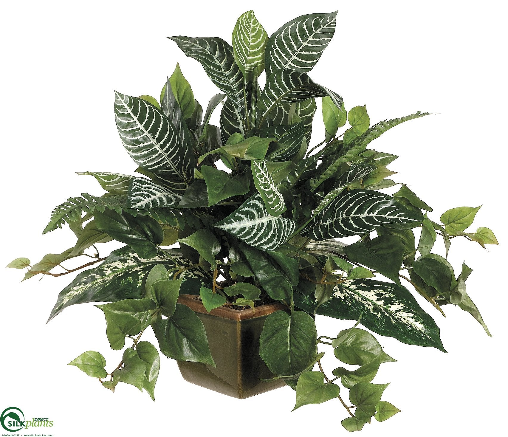 silk dieffenbachia Silk Plants Direct Zebra, Dieffenbachia, Pothos - Green