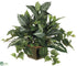 Silk Plants Direct Zebra, Dieffenbachia, Pothos - Green - Pack of 2