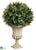 Boxwood Topiary Ball - Green - Pack of 2
