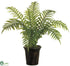 Silk Plants Direct Sword Palm Tree - Green - Pack of 1