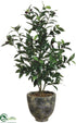 Silk Plants Direct Olive Tree - Green Two Tone - Pack of 1