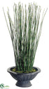 Silk Plants Direct Horsetail Equisetum Grass - Green - Pack of 1