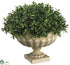Silk Plants Direct Boxwood Dome - Green - Pack of 1