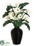 Silk Plants Direct Calla Lily - White Green - Pack of 1