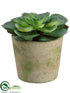 Silk Plants Direct Echeveria - Green - Pack of 2