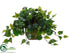 Silk Plants Direct Philodendron - Green - Pack of 1
