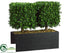 Silk Plants Direct Boxwood Topiary - Green - Pack of 1