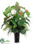 Caladium, Fern, Fiddle Leaf - Green Red - Pack of 1