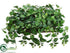 Silk Plants Direct Pothos Plant - Green White - Pack of 1