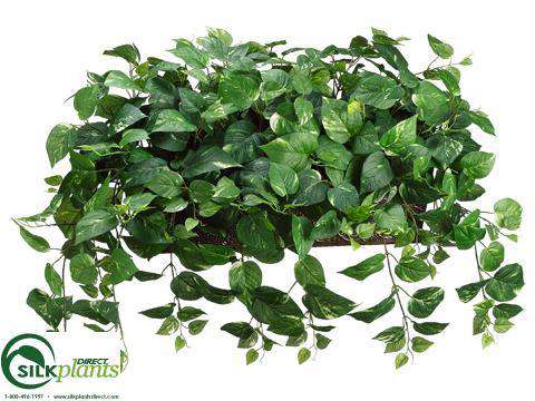pothos fake plant Pothos Plant - Green White - Pack of 1 - (CHW/RG-9867PWS)