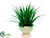 Vanilla Grass - Green Two Tone - Pack of 2