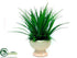 Silk Plants Direct Vanilla Grass - Green Two Tone - Pack of 2