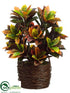 Silk Plants Direct Croton Plant - Green Orange - Pack of 1