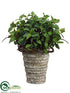 Silk Plants Direct Cedar Gum Topiary - Green - Pack of 1