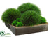 Silk Plants Direct Pine Grass - Green - Pack of 1
