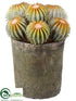 Silk Plants Direct Barrel Cactus - - Pack of 1