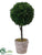 Cedar Topiary Ball - Green - Pack of 1