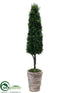 Silk Plants Direct Cedar Topiary Cone - Green - Pack of 1