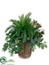 Silk Plants Direct Cycas, Swedish Ivy, Amaranthus, Protea - Green - Pack of 1