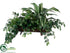 Silk Plants Direct Cordyline, Fittonia, Fern - Green White - Pack of 1