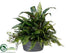 Silk Plants Direct Dracaena, Fern, Ivy - Green - Pack of 1