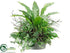 Silk Plants Direct Apista Leaf, Grass, Fern, Bromeliad Plant - Green - Pack of 1