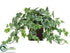 Silk Plants Direct Ivy - Variegated - Pack of 2