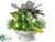 Cabbage, Asparagus, Pepper Mint Leaf - Green - Pack of 1