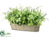 Silk Plants Direct Potato Leaf, Lace Fern, Cymbidium Orchid Leaf - Green - Pack of 1