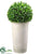 Bayleaf Ball Topiary - Green - Pack of 1